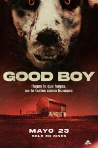 Good Boy (2022) Hollywood Hindi Dubbed Poster