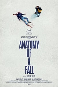 Anatomy of a Fall (2023) Hollywood Hindi Dubbed Poster