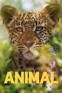 Animal (2021) Hindi Season 01 Poster