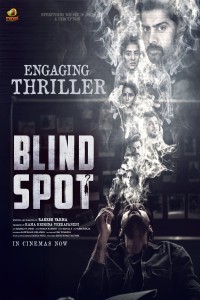 Blind Spot (2025) Hindi Dubbed Movie Poster