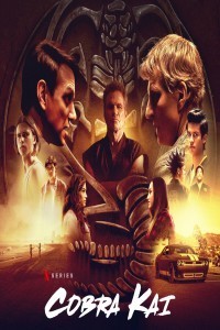 Cobra Kai (2018) Hindi Season 01 Poster