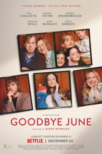 Goodbye June (2025) Hollywood Hindi Dubbed Poster