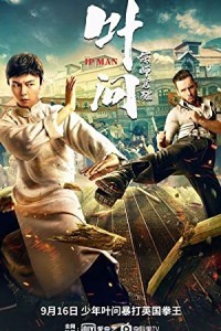 Ip Man The Awakening (2022) Hollywood Hindi Dubbed Poster