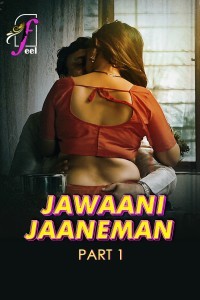 Jawaani Jaaneman (2025) Part 1 FEEL Hindi Unrated Webseries Poster