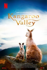 Kangaroo Valley (2022) Hollywood Hindi Dubbed Poster