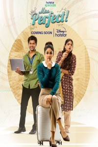Miss Perfect (2024) Hindi Season 01 Poster