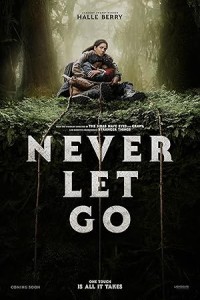 Never Let Go (2024) Hollywood Hindi Dubbed Poster