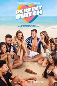 Perfect Match (2023) Hindi Season 01 Poster