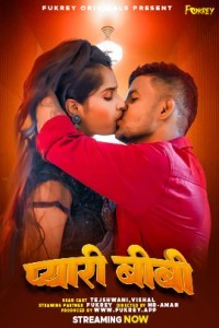 Pyari Biwi (2024) Fukrey Original Short Film Poster