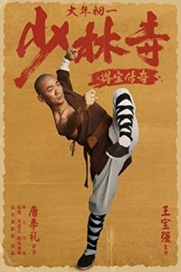 Rising Shaolin The Protector (2021) Hollywood Hindi Dubbed Poster