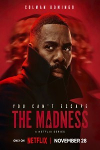 The Madness (2024) Hindi Season 01 Poster