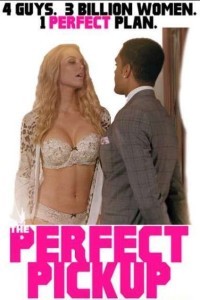 The Perfect Pickup (2020) Hollywood Unofficial Hindi Dubbed Poster