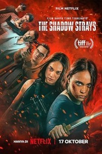 The Shadow Strays (2024) Hollywood Hindi Dubbed Poster